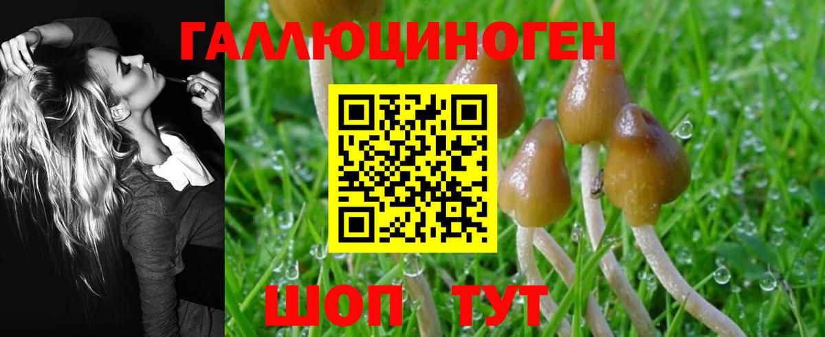 Псилоцибиновые грибы MAGIC MUSHROOMS Аксай