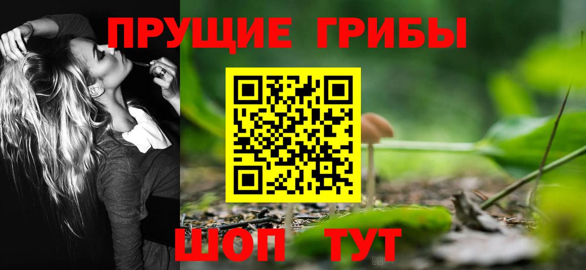 Аксай  Галлюциногенные грибы ЛСД  Вход с VPN 